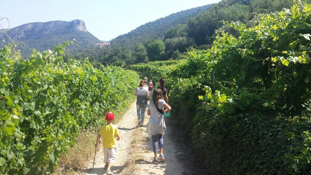 Il Villaggio Di Giuele Finale Ligure Exteriör bild