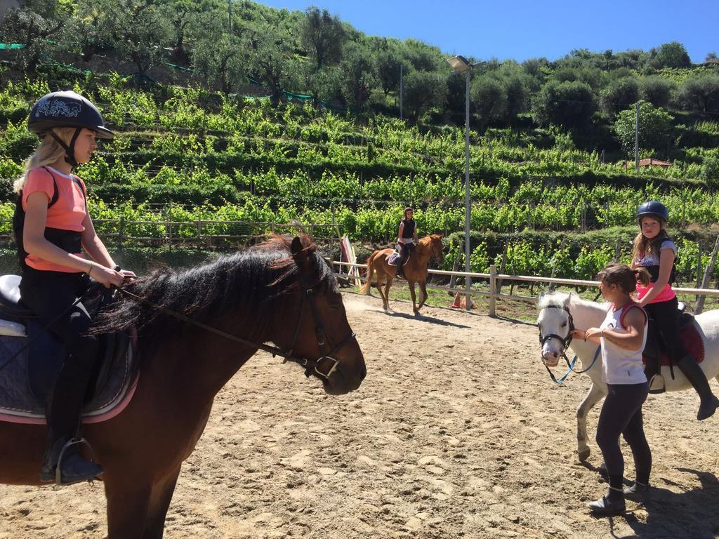 Il Villaggio Di Giuele Finale Ligure Exteriör bild